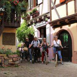 Alsa Cyclo Tours