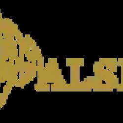 Alsirate Voyage