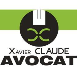 Xavier Claude Groupe Alta-juris