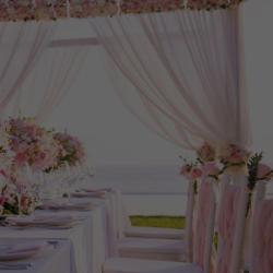 Aly Mariage And Design