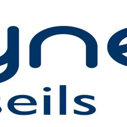 Alyneia Conseils