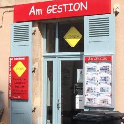 Am Gestion