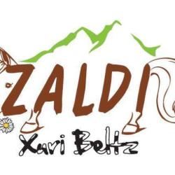 Zaldi Xuri Beltz