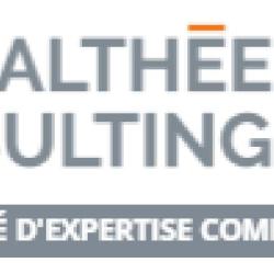 Amalthée Consulting