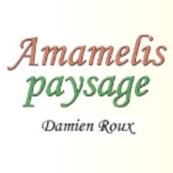 Amamelis Paysage