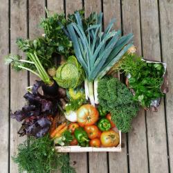 Amap Les Paniers Des 3 Jardins