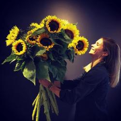 Amarylice