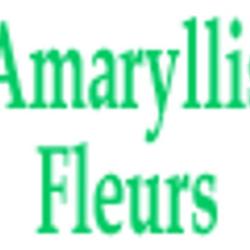 Amaryllis