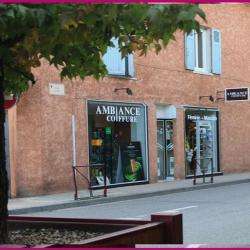 Ambiance Coiffure