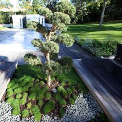 Ambiance Paysage