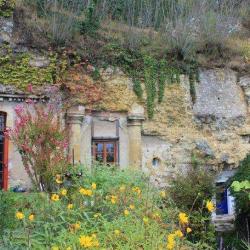 Amboise Troglodyte