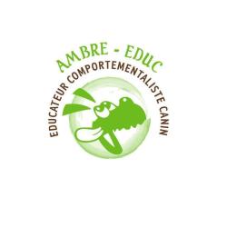 Ambre-educ