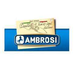 Ambrosi Emmi France