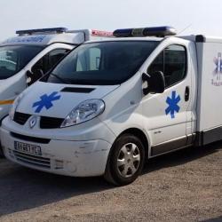 Diane Ambulance