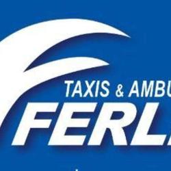 Ambulance Taxi Ferlin