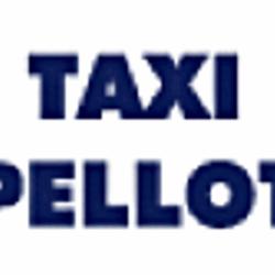 Taxi Pellot