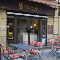 Amedelys