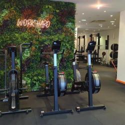 Amenagym