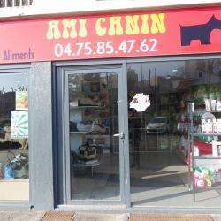 Ami Canin