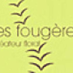 Les Fougères