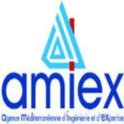 Amiex Expertises