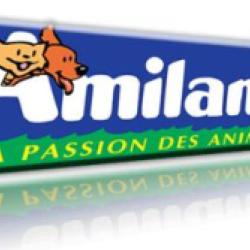 Amiland