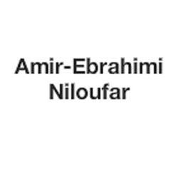Amir-ebrahimi Niloufar