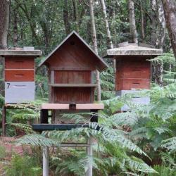 Amis Des Abeilles Du Val D'oise