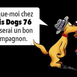 Amis Dogs 76