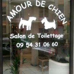Amour De Chien