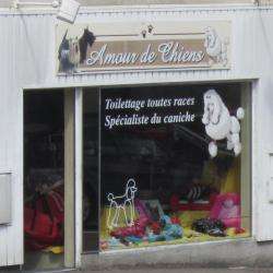 Amour De Chiens