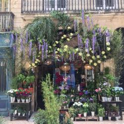 Amour De Fleurs