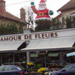 Amour De Fleurs