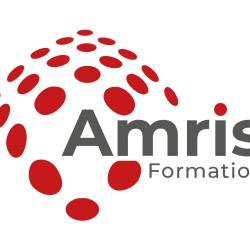Amris Formation