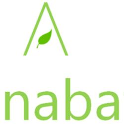 Anabat