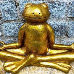 Ananda Yoga