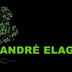 André élagage Du 31, Le Bon Choix