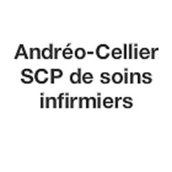 Andréo-cellier Scp De Soins Infirmiers