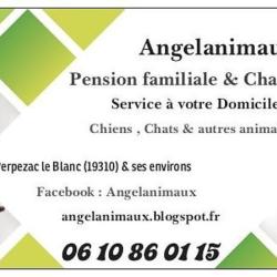 Angelanimaux