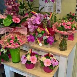 Angélique Fleurs Et Déco