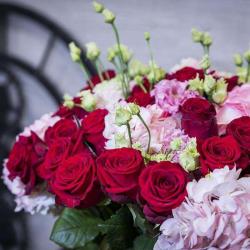 Blush