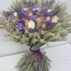 Angelonia.fr