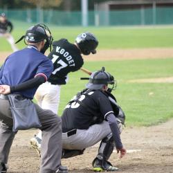 Angers Royals Baseball Club