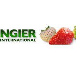 Angier Sas International