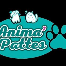 Anima 'pattes