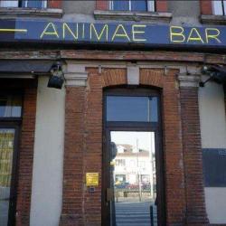 Animae Bar