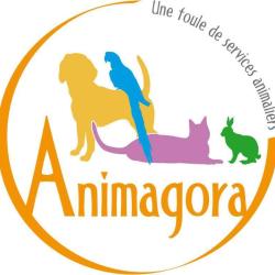 Animagora
