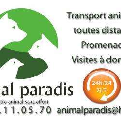 Animal Paradis