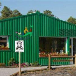 Animalia Salon