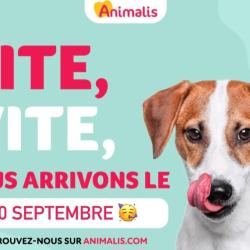 Animalis